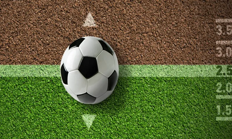 Hãy vận dụng chuẩn chỉnh kinh nghiệm chơi thắng lớn