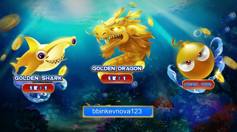 Hình ảnh và âm thanh sống động