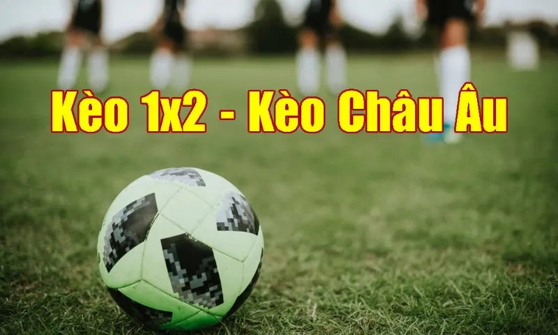 Cách đọc kèo Châu Âu cho bạn