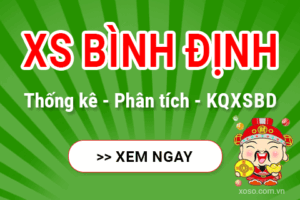 Giới thiệu tổng quát về Xổ số Bình Định